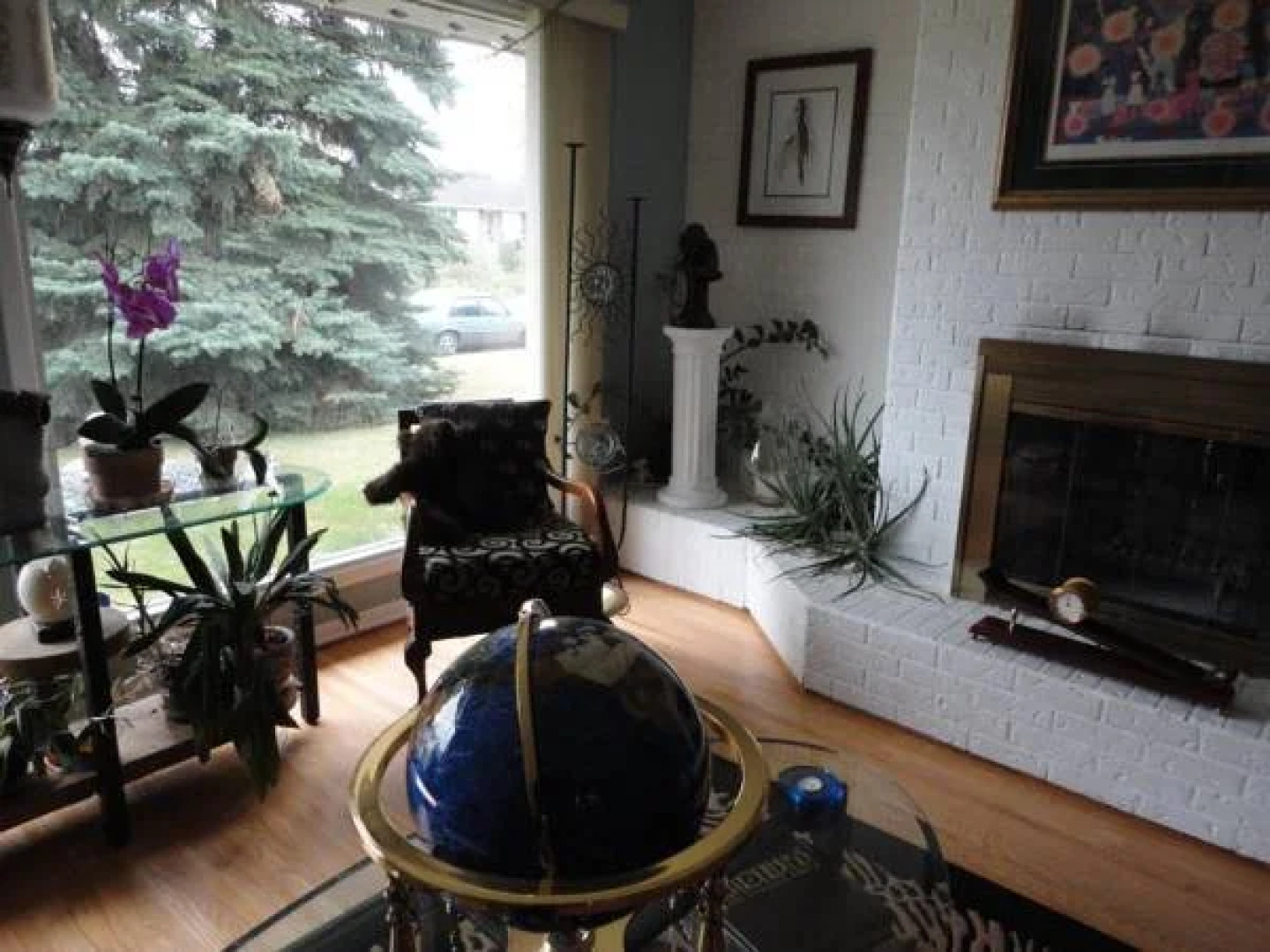 Northern Lights Bed & Breakfast