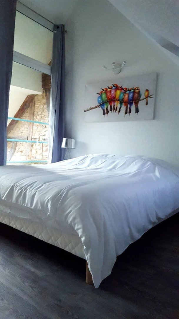 Les Appartements d'Alicia Obernai