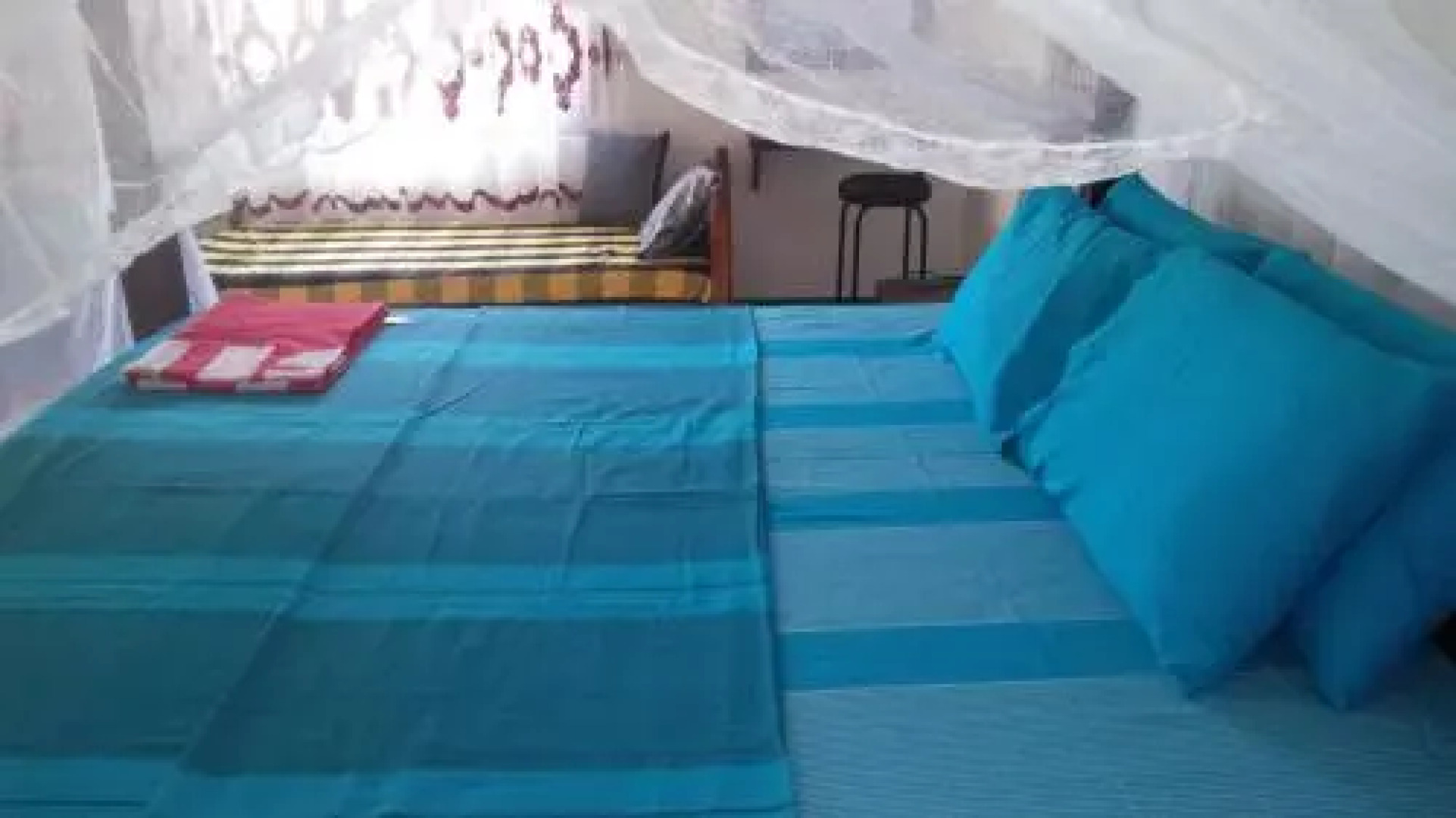 Jungle View apartment