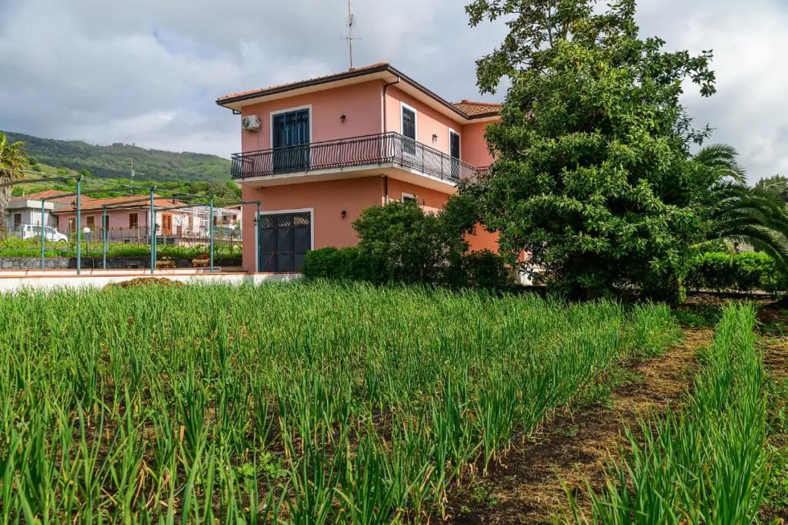 Bee Happy - Bed And Breakfast