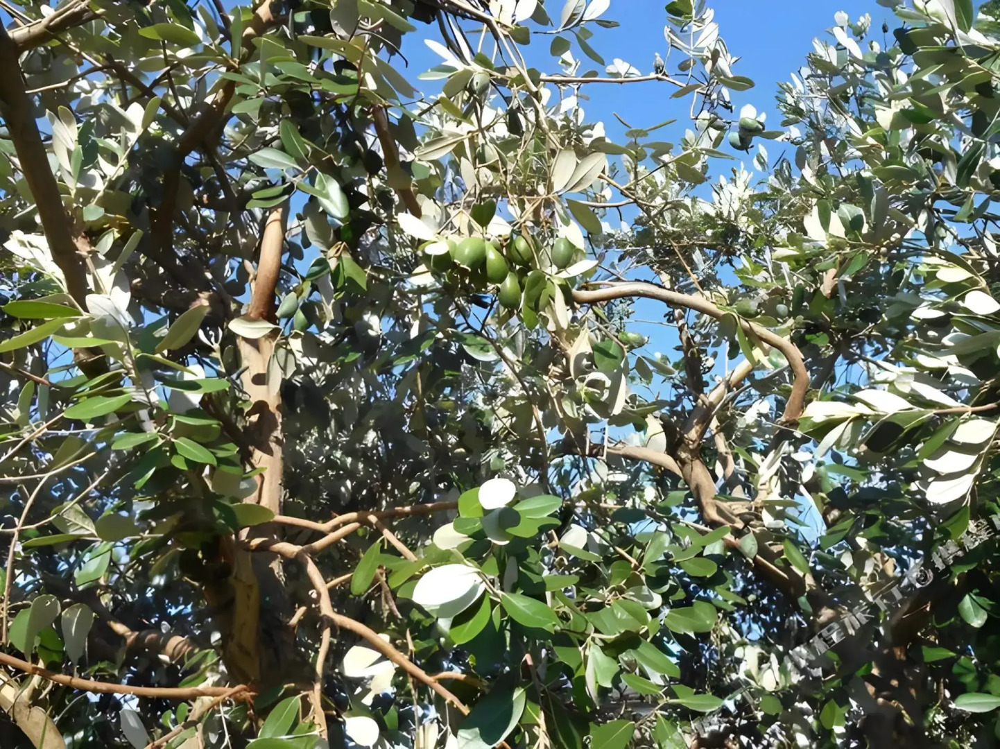 Izu Village Heso Hotel