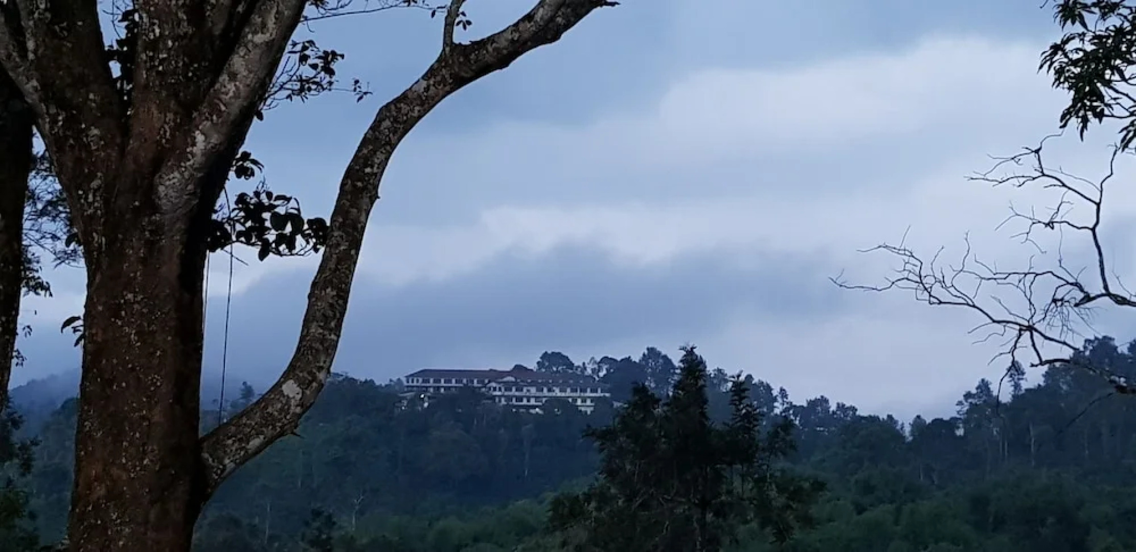 Standard Double Room-wayanad