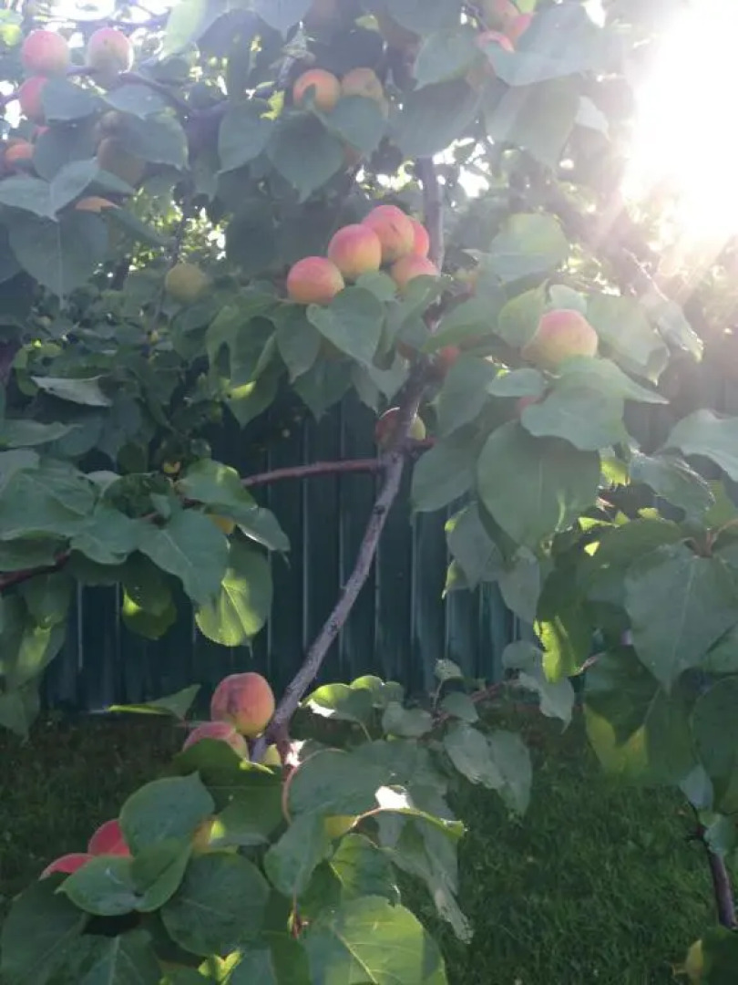 camera con giardino e piscina