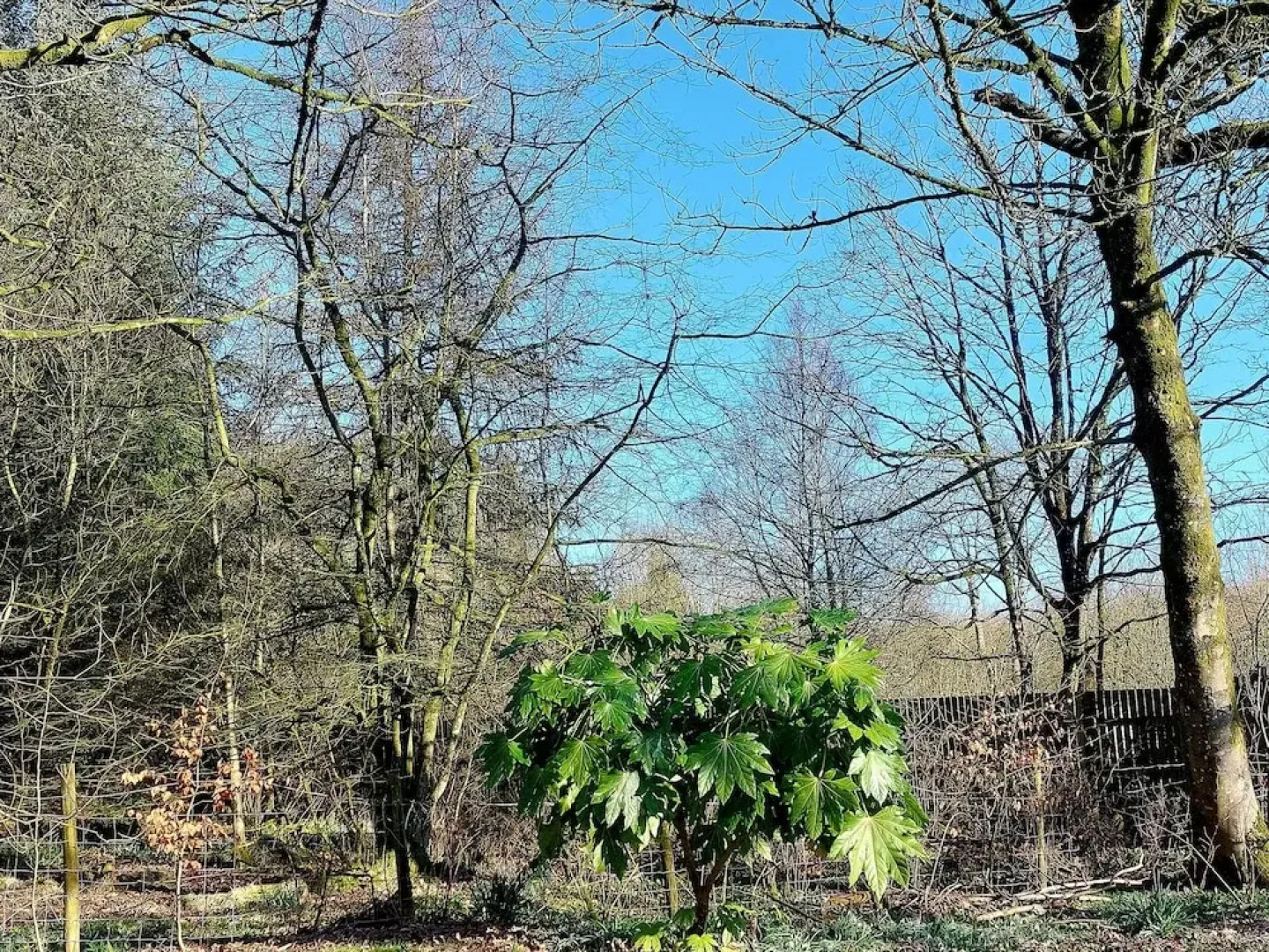 The Coach House, Canonbie