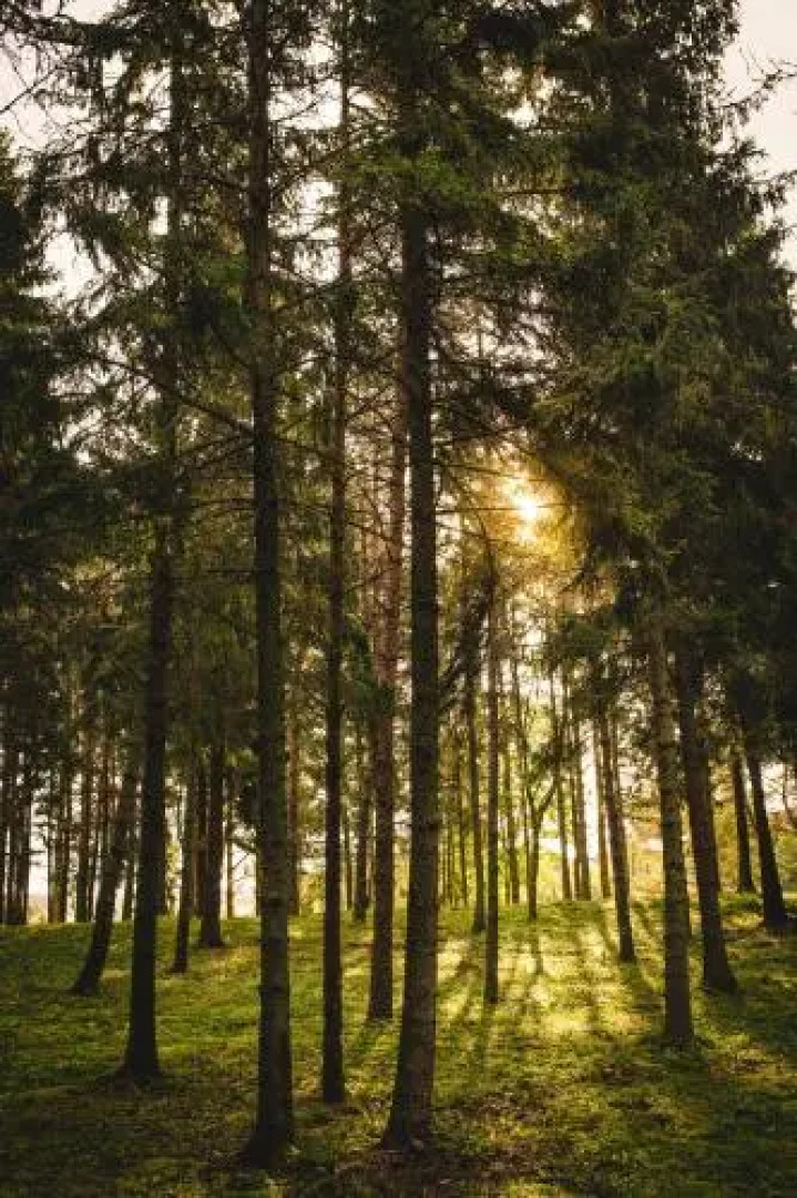 Ungru Guesthouse and Restaurant