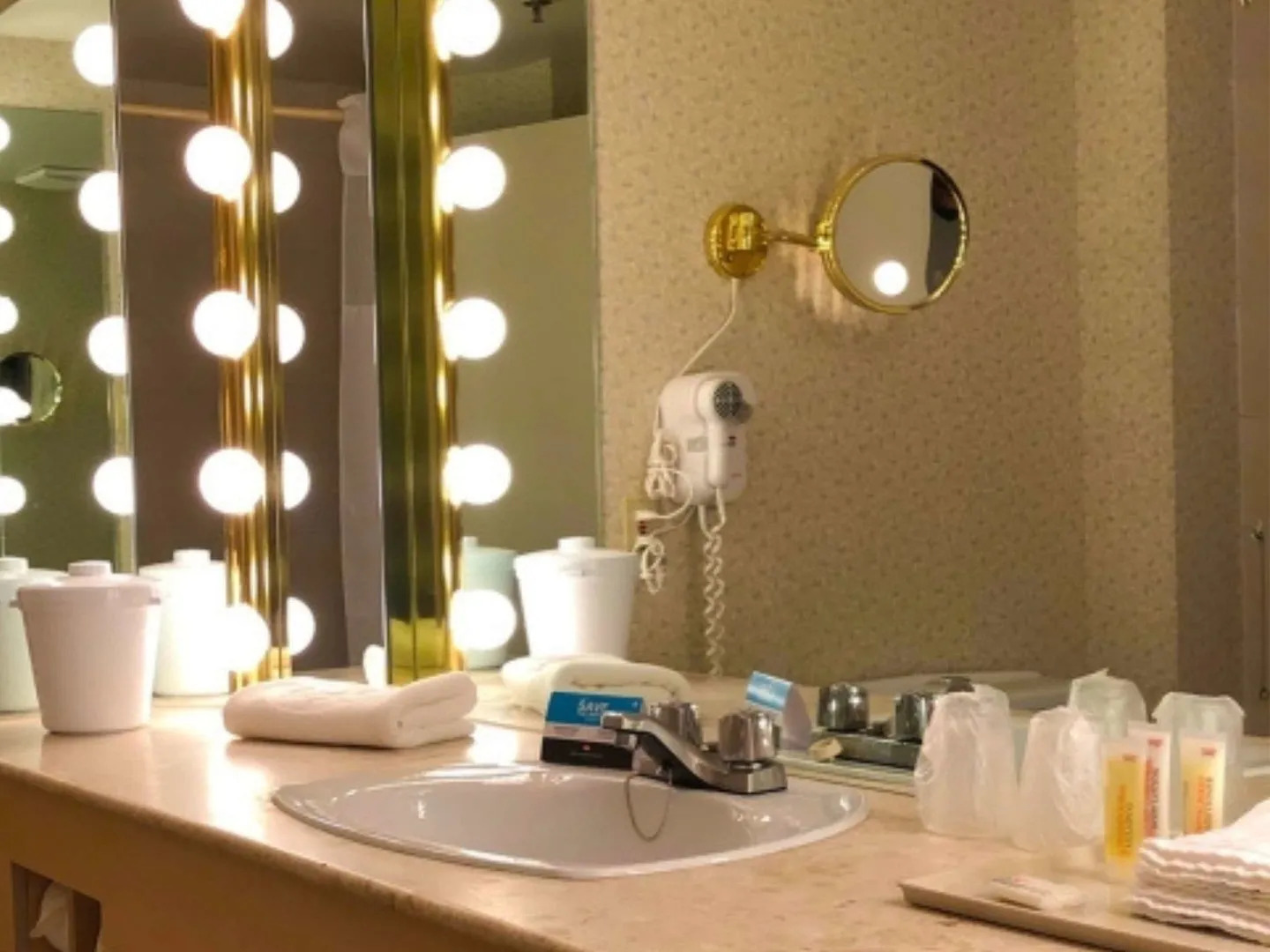 Hôtels Gouverneur Montréal - Île Charron