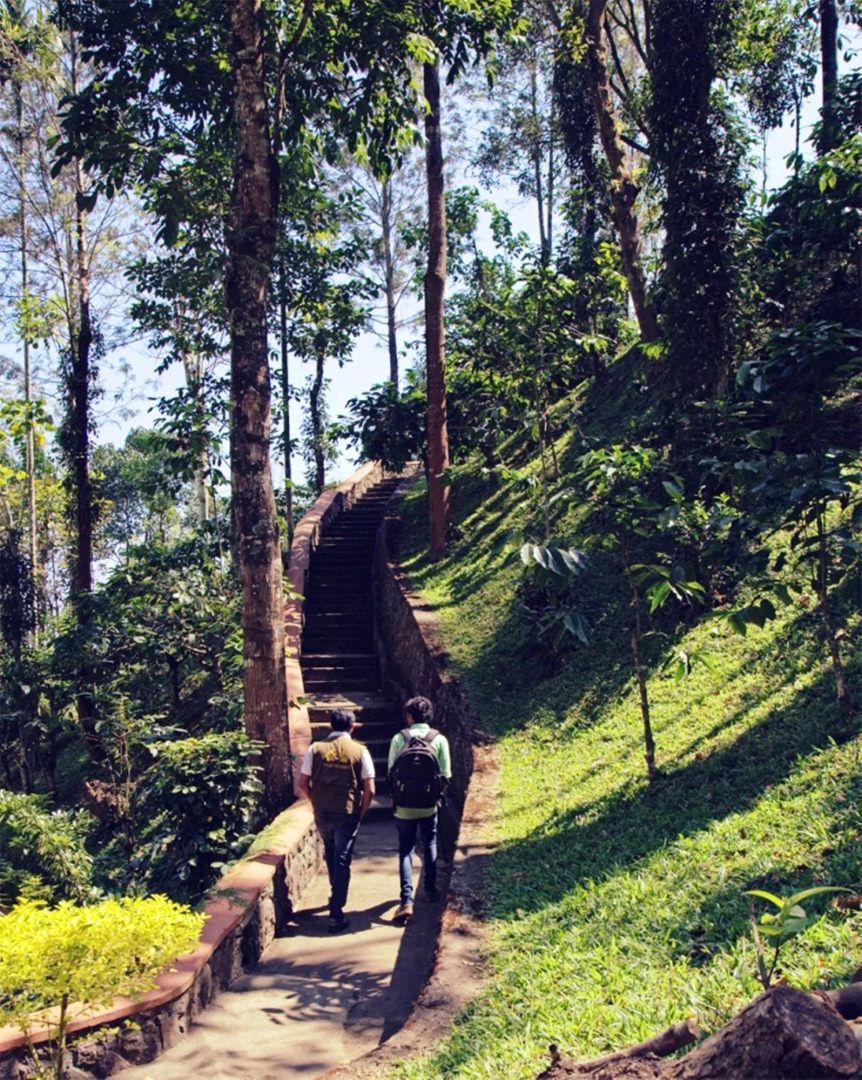 Oxygen Resorts Wild Corridor