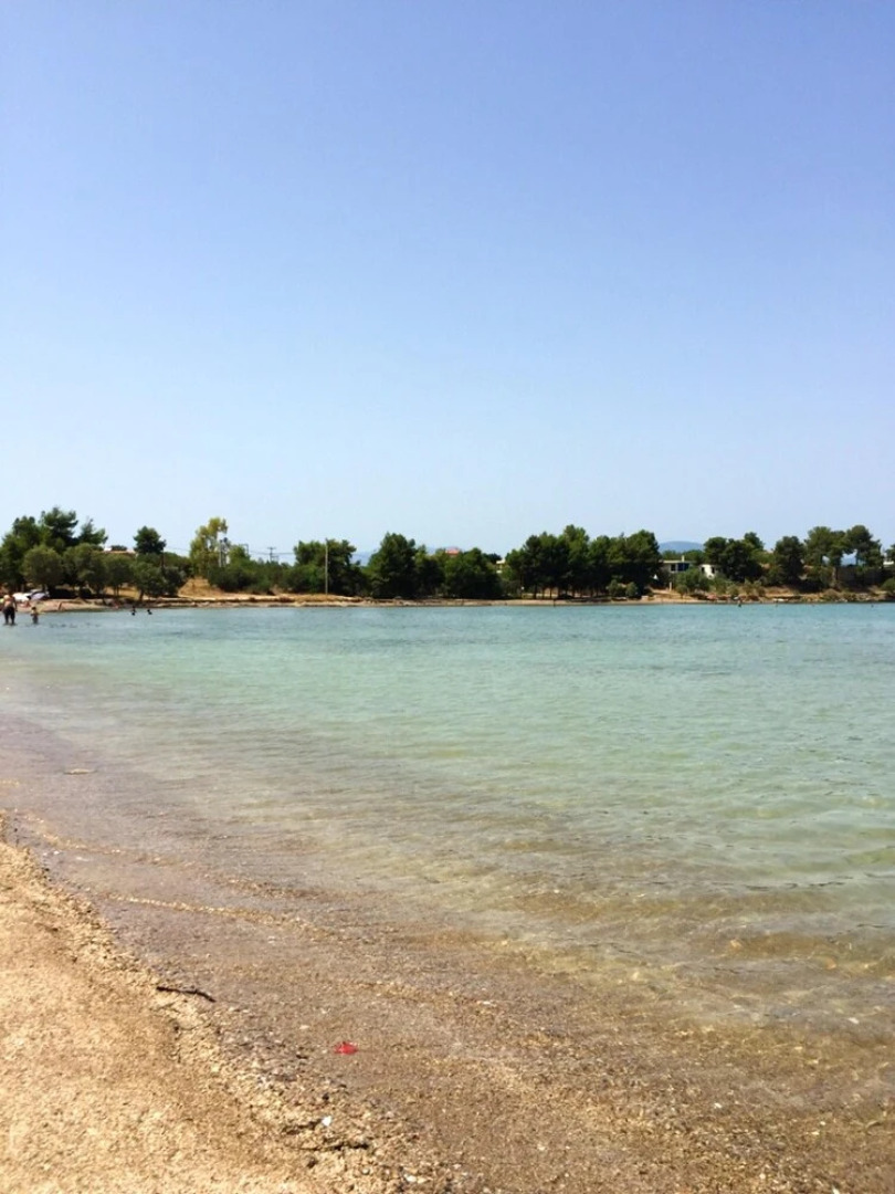 Apartment With in Drossia Chalkis With Wonderful sea View