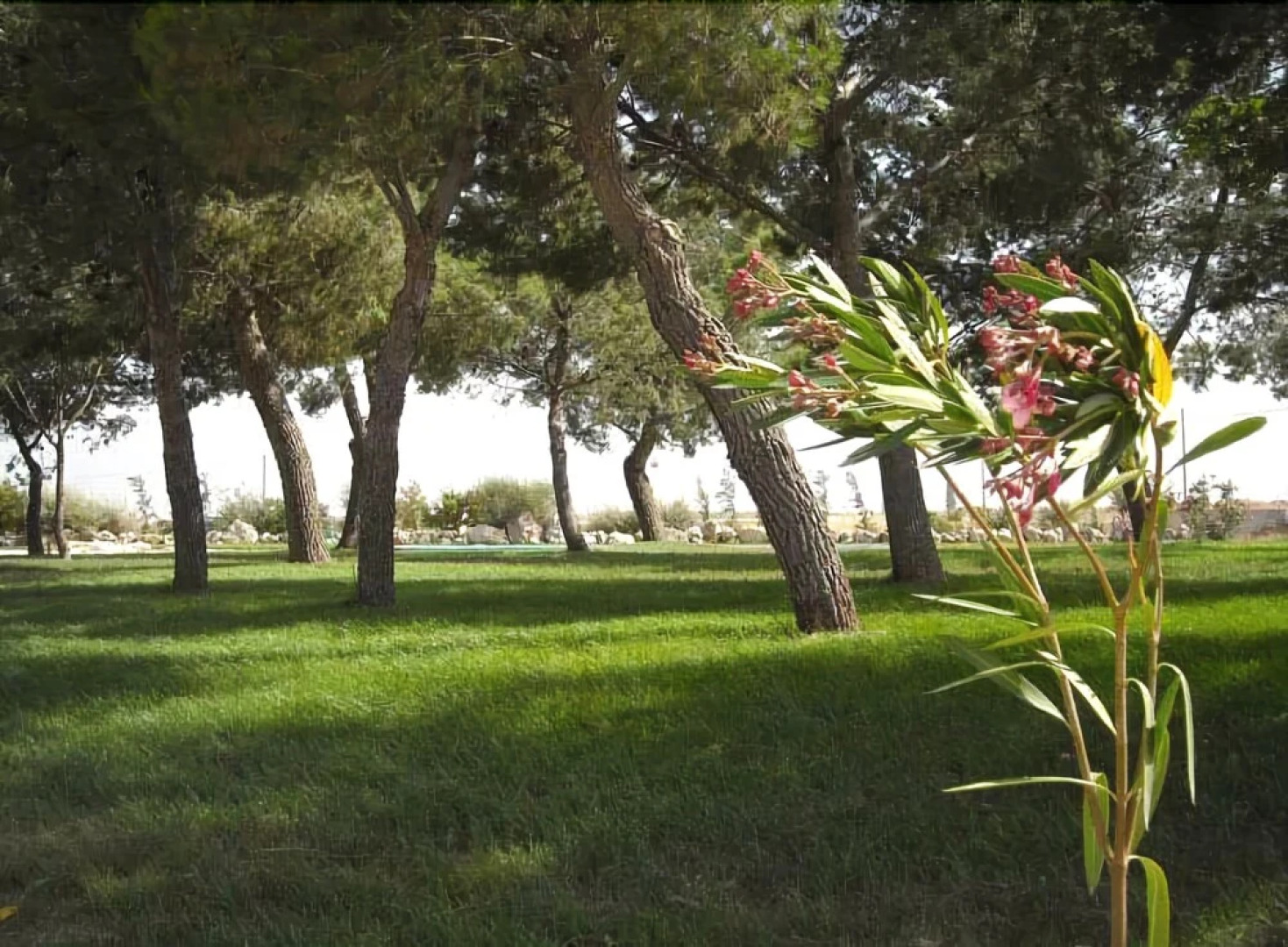 Hotel Posta del Falco