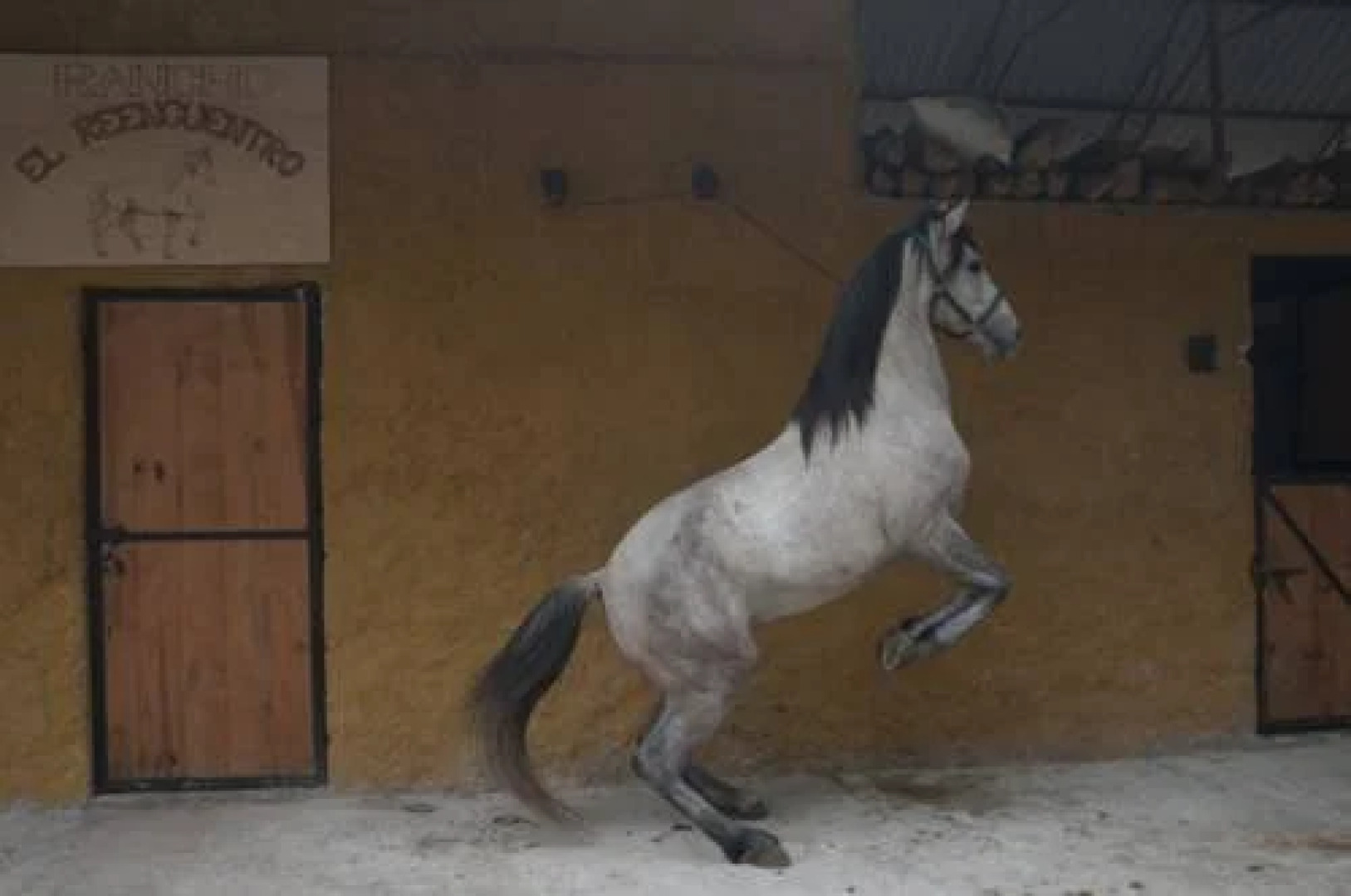 Reencuentro Rancho & Eco-Hotel