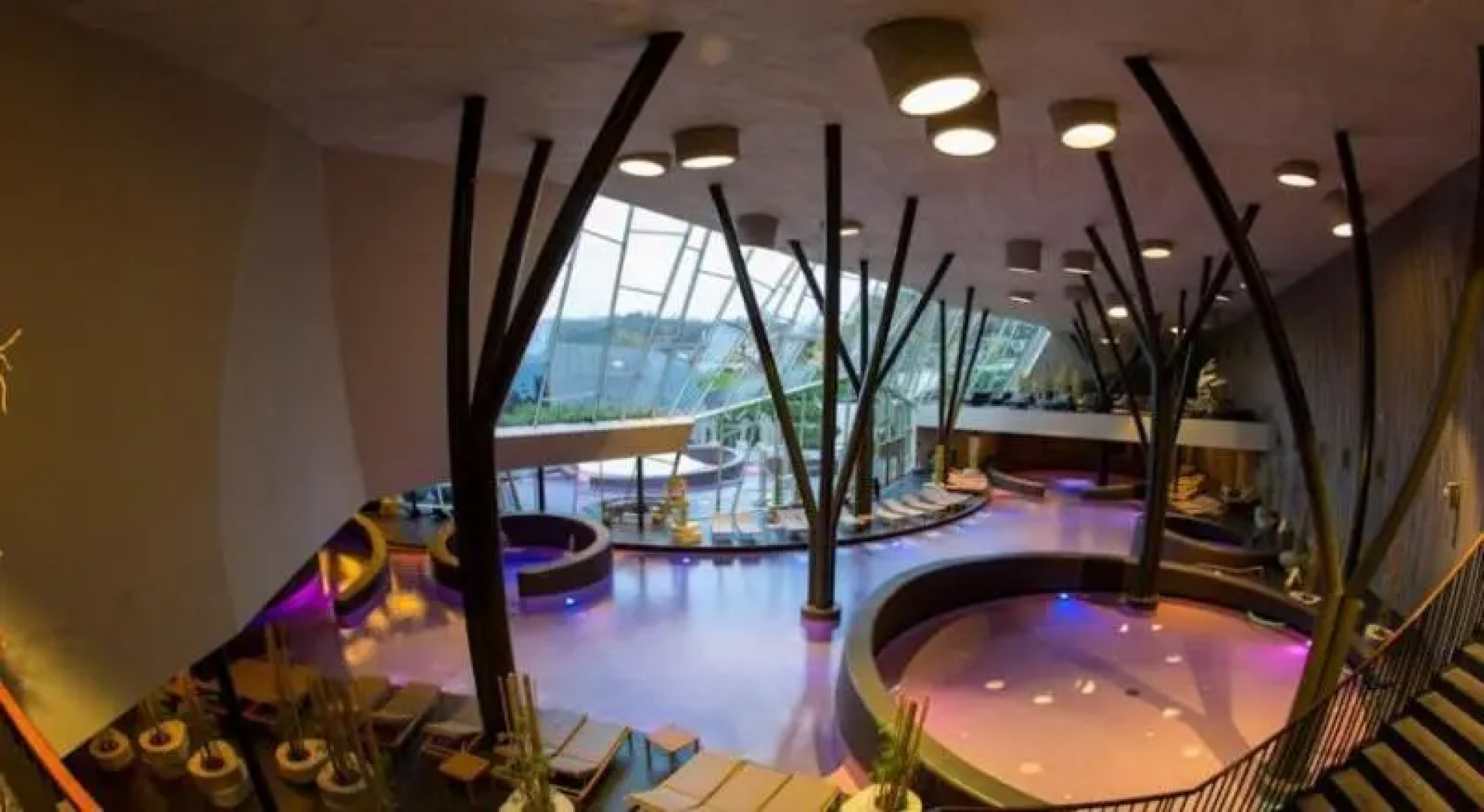 Terme Olimia - Aparthotel Rosa