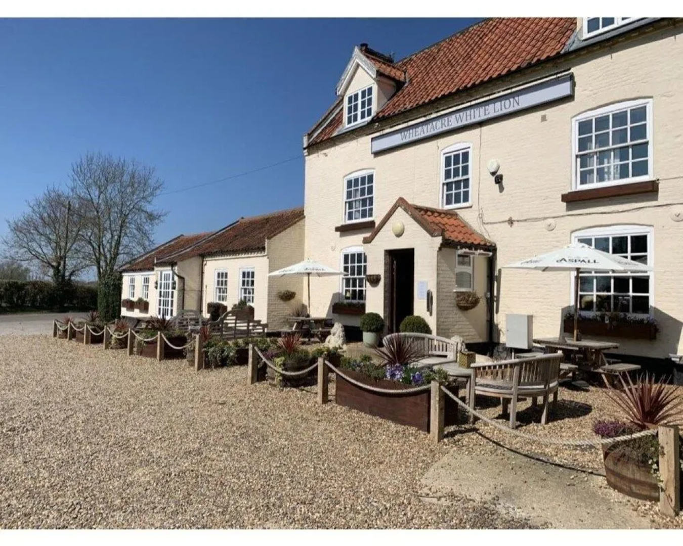 Wheatacre White Lion