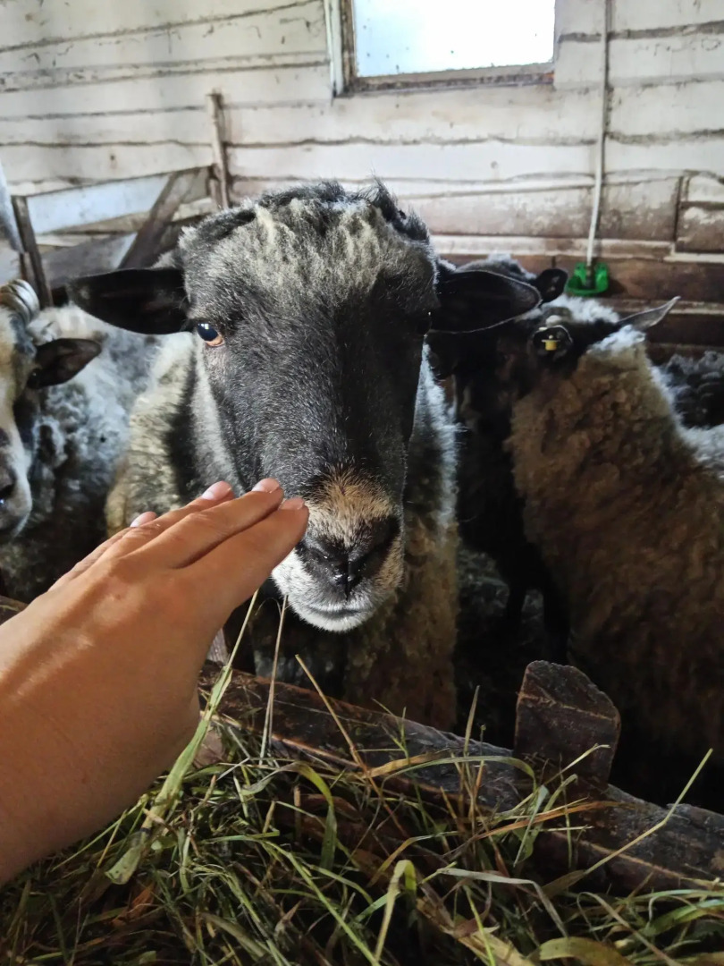 Дом в деревне Чернокуново