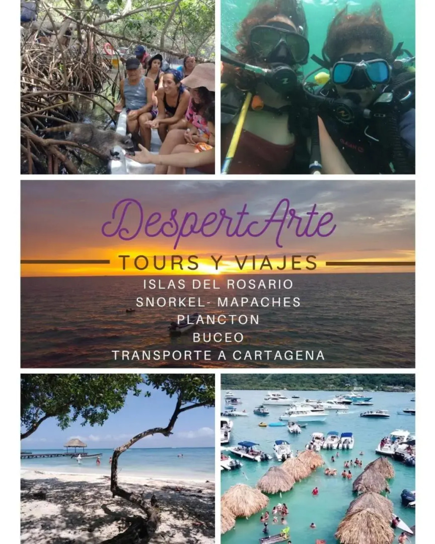 Restaurante y Hospedaje Baru