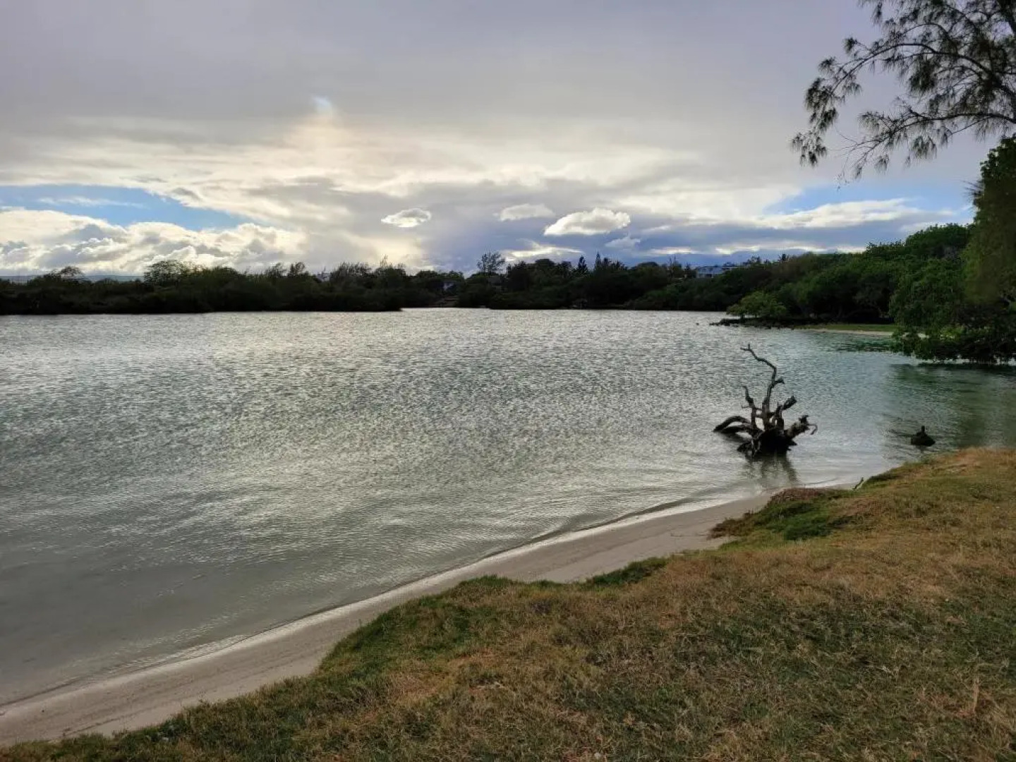 Eastern Blue - Sea View Luxury Apartment