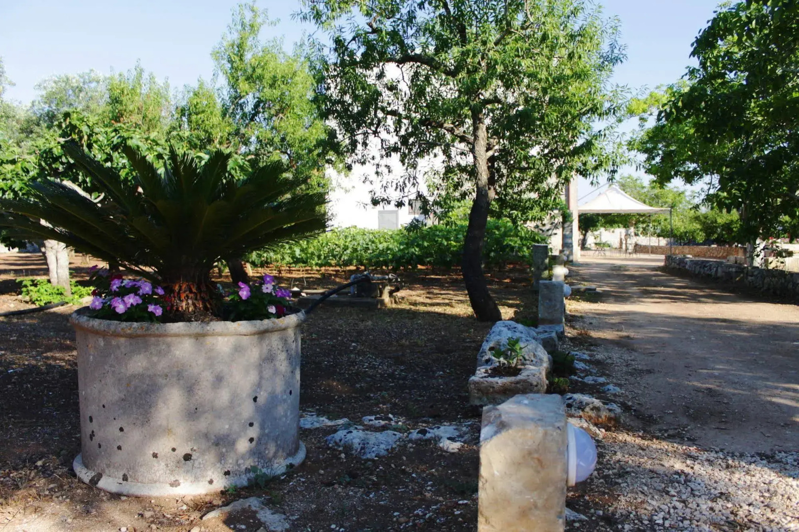 Tenuta Pigliano