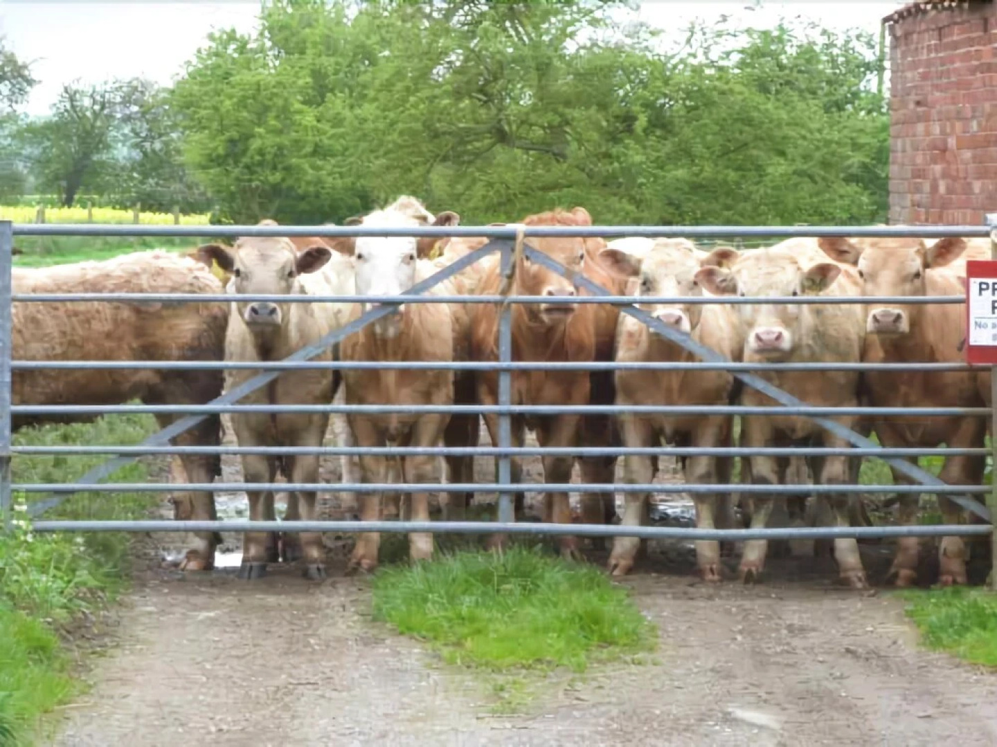 Host Stay Great Habton Cottage