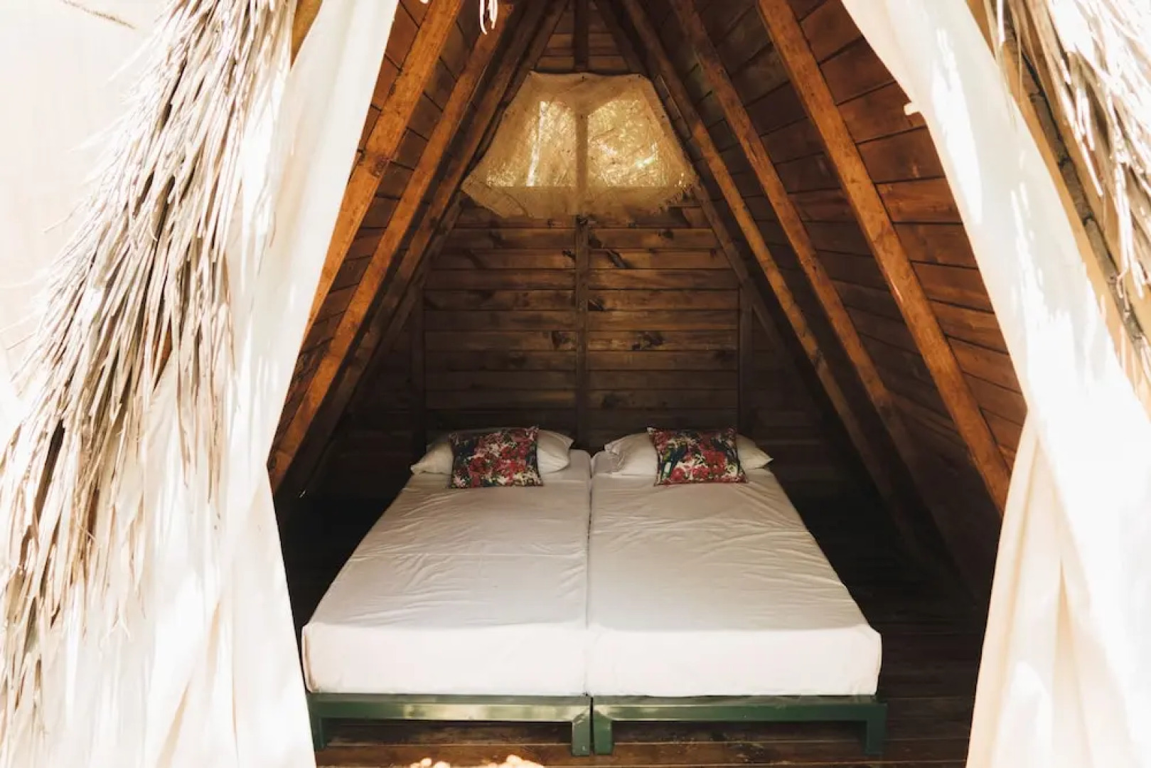 Tigrillo Rio Claroby LosColoresEcoparque