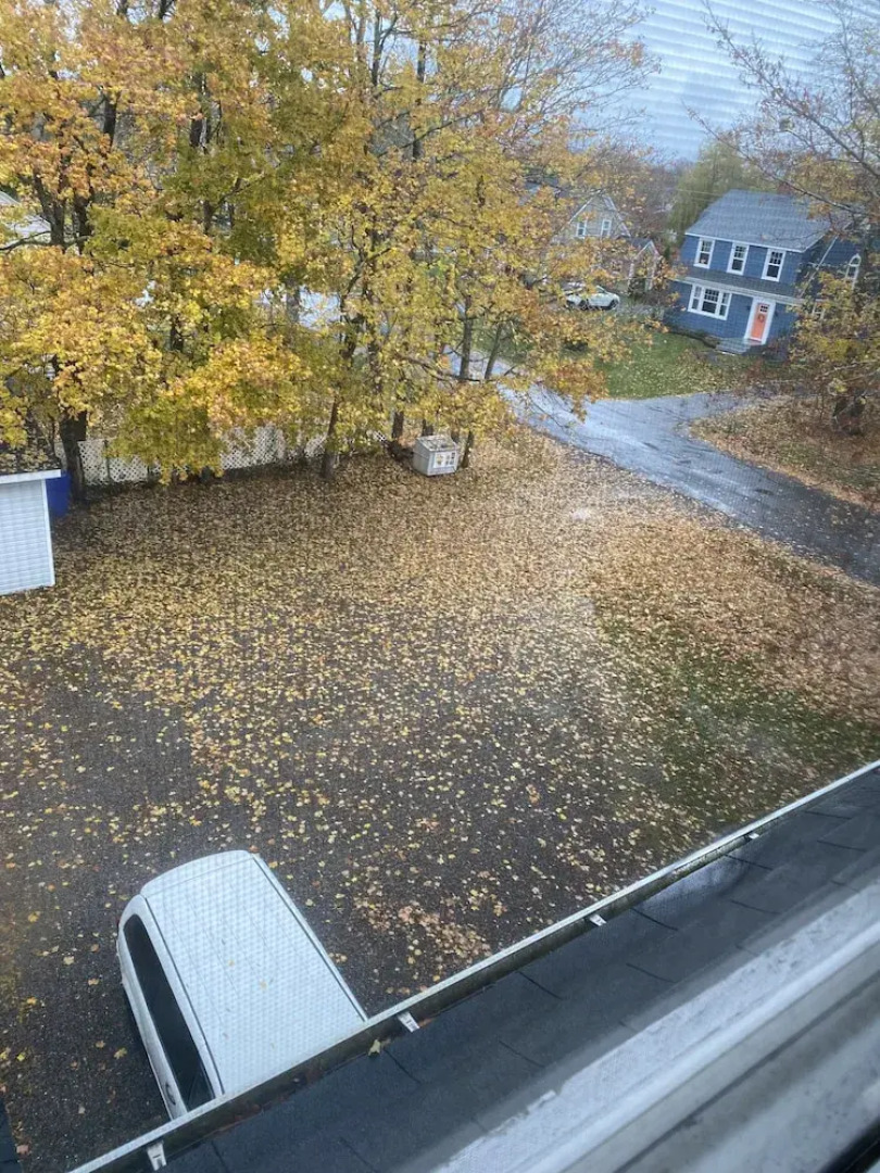 The Montague Rose Inn