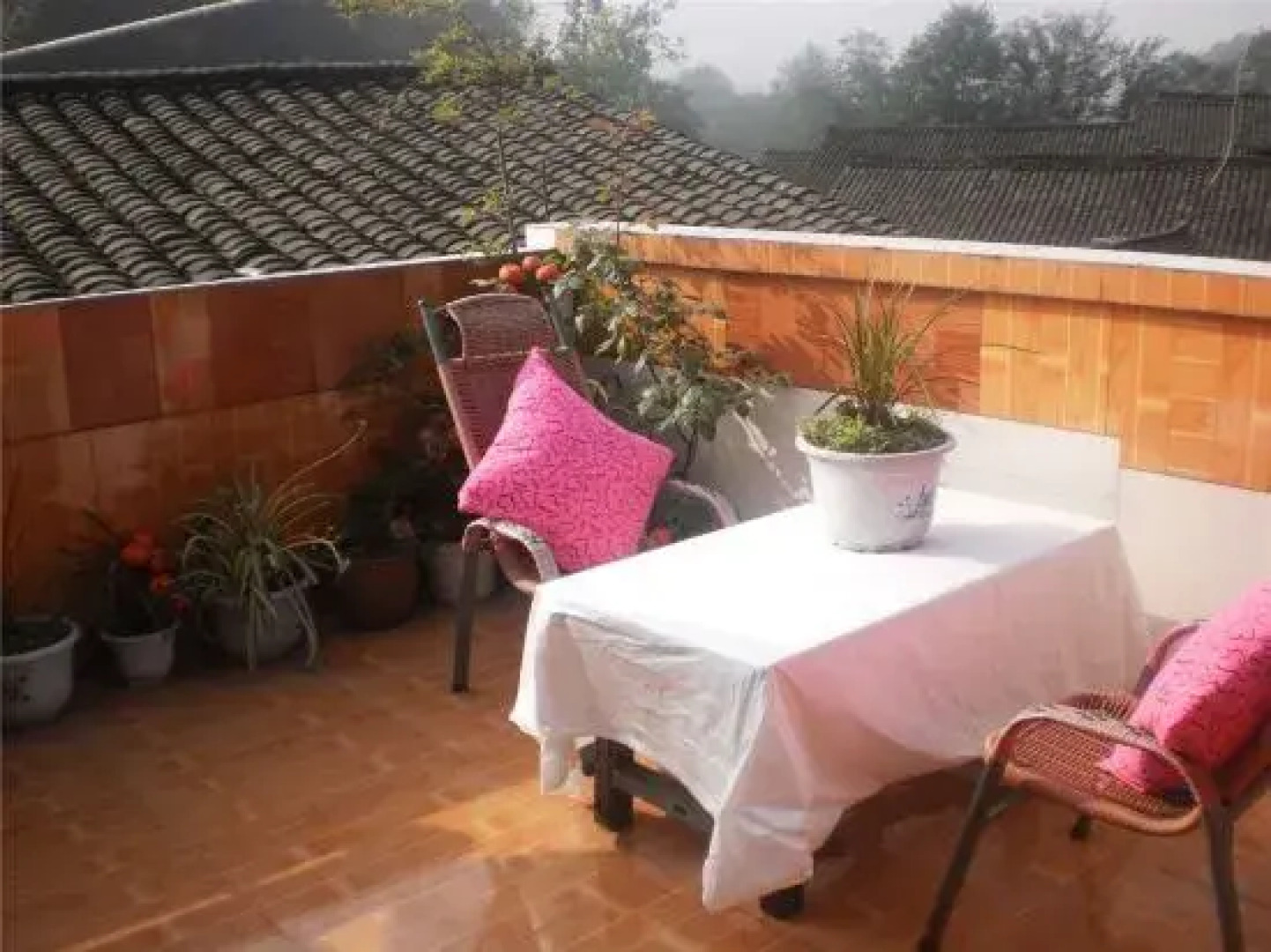 Ya'an Shangli Ancient Town Haojinglou Homestay