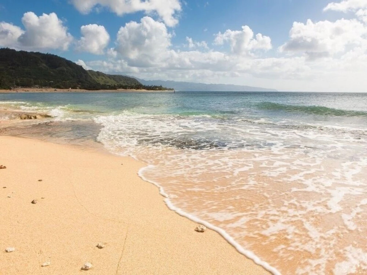 Haleiwa Sunshine 3 Bedroom Home