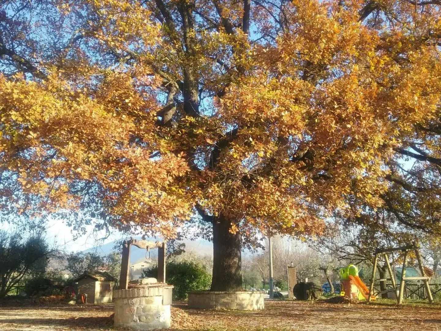 Il Casale della Quercia