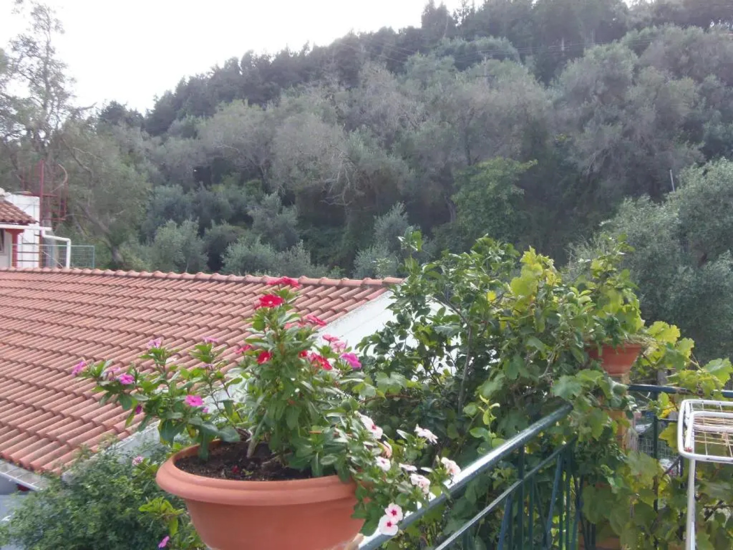 Konstantina Apartment