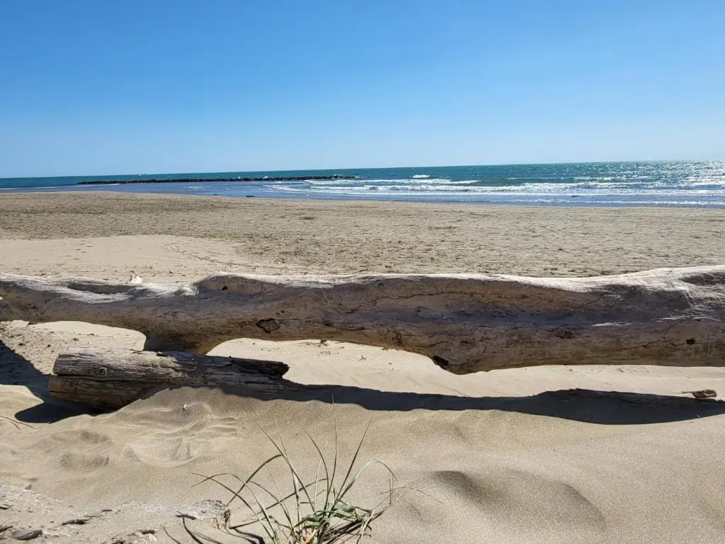Stadthaus Florensac Dachterrasse max. 7 Personen