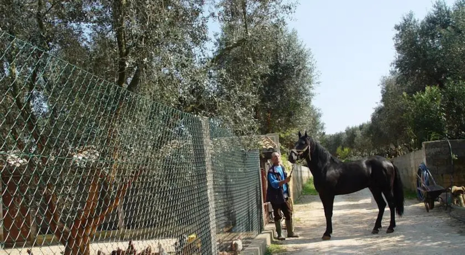 Agriturismo Montenachiro