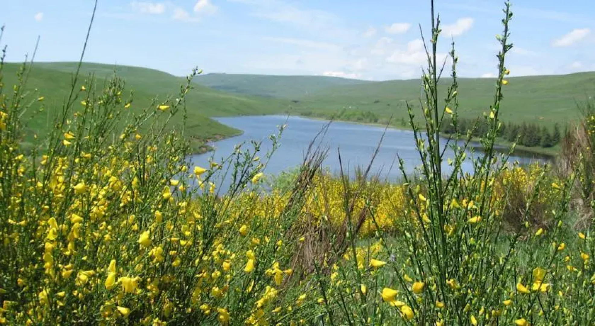 La Ferme de Cézallie