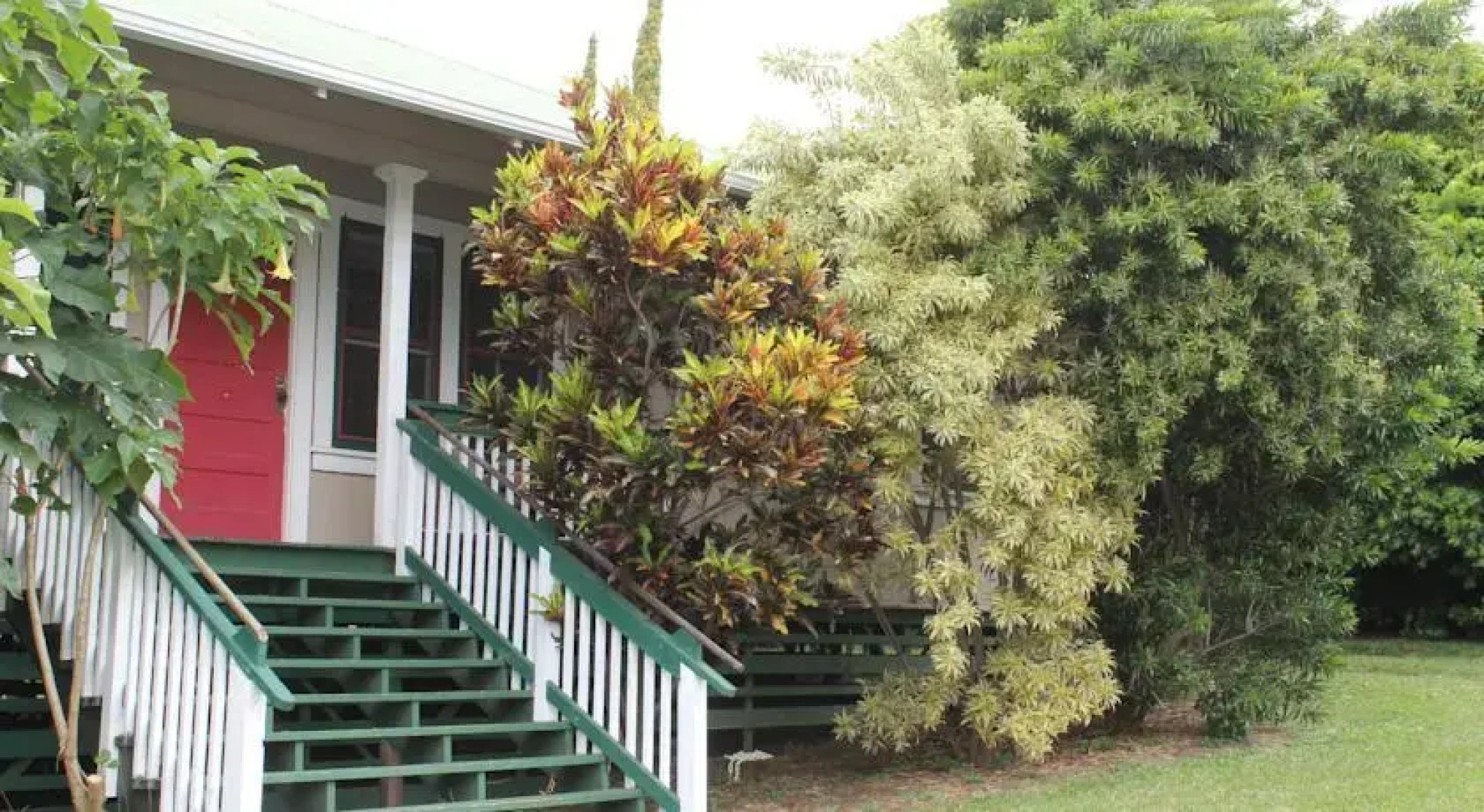 Ohia at Pahala Plantation Cottages