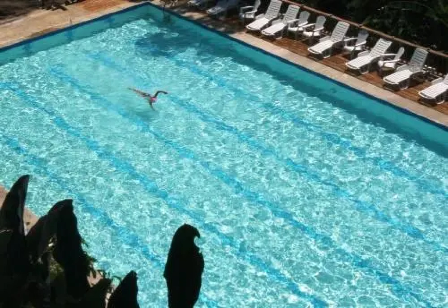 Mar y Selva Ecolodge