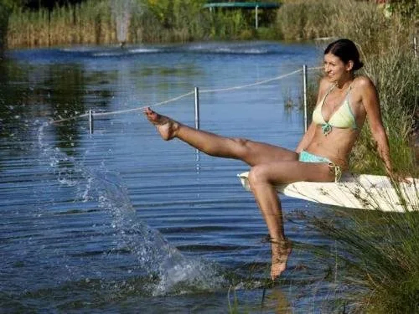 Forster’s Naturresort