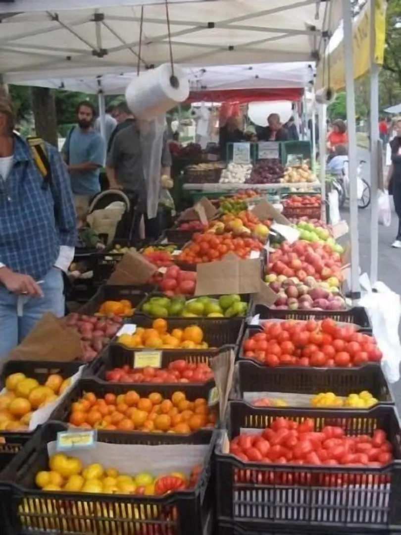 Klippers Guest Suites