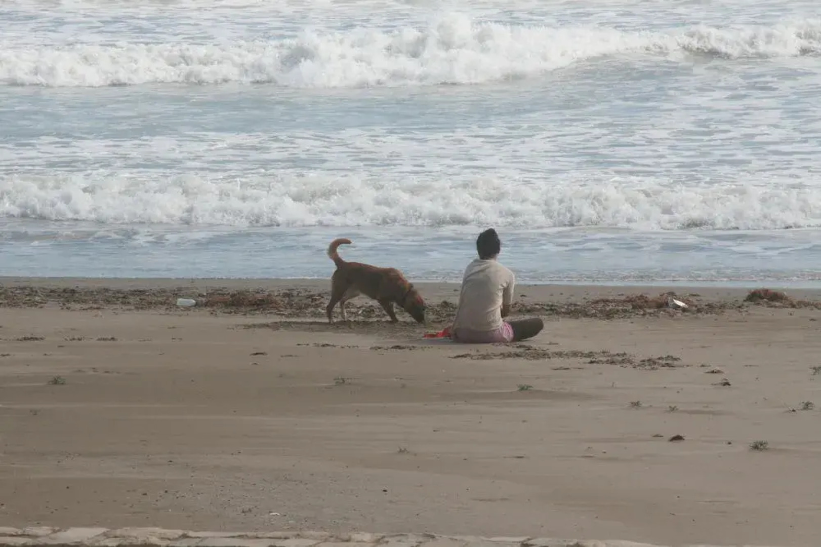 Sea You Apartamentos Port Saplaya