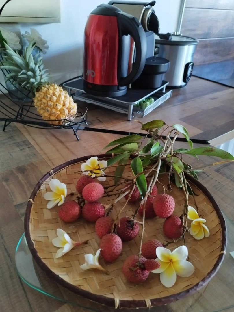 TERLA Bel Appartement 3 Pieces Clim & Parking