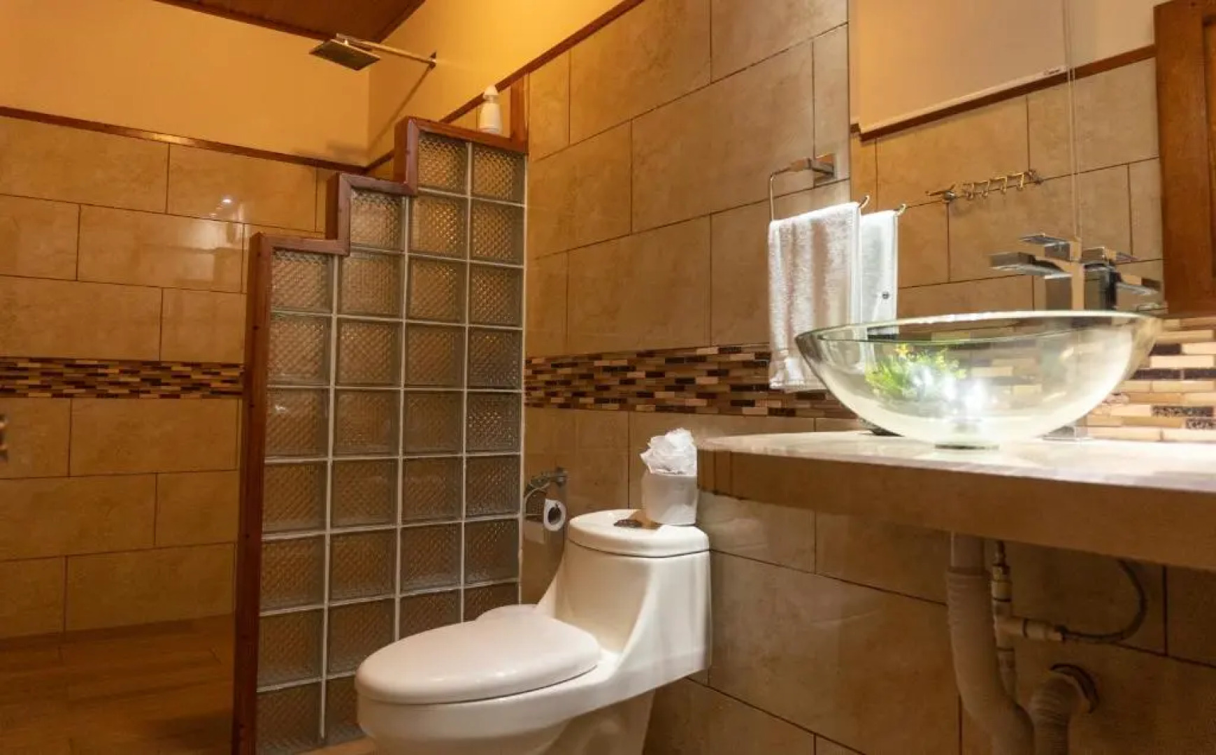 Jacamar Corcovado Drake Day