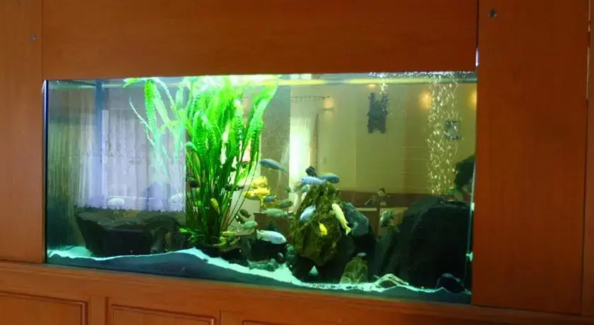 Zajazd Wielka Żuława