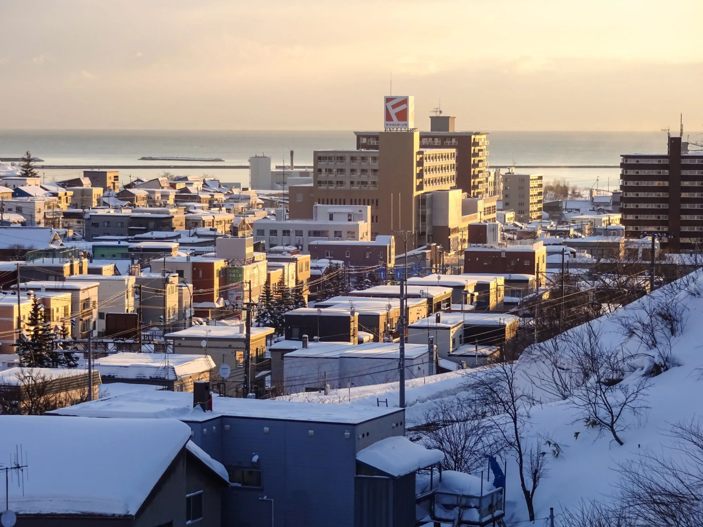 Otaru Guesthouse Harvest - Hostel