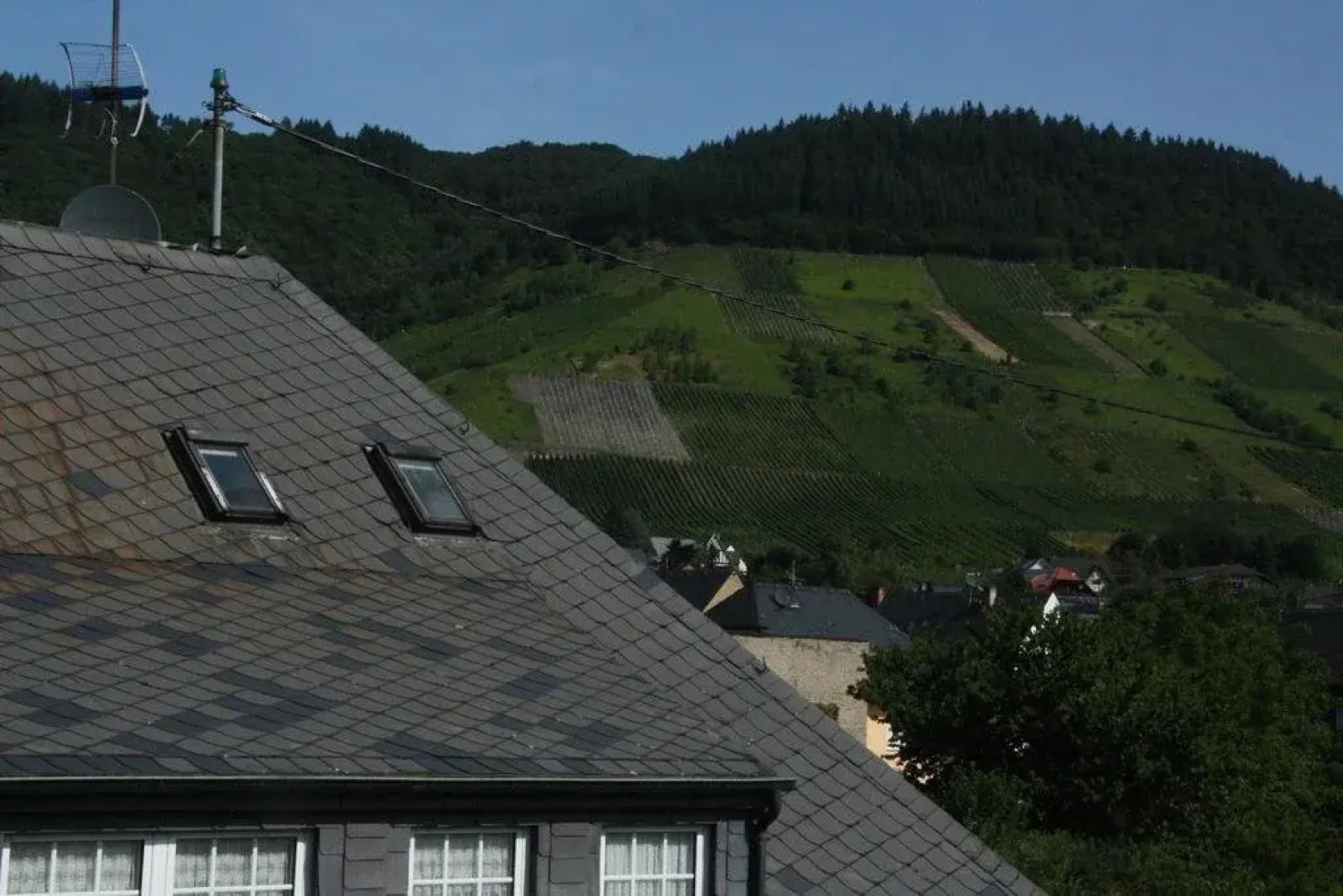 Weingut Knodt-Trossen