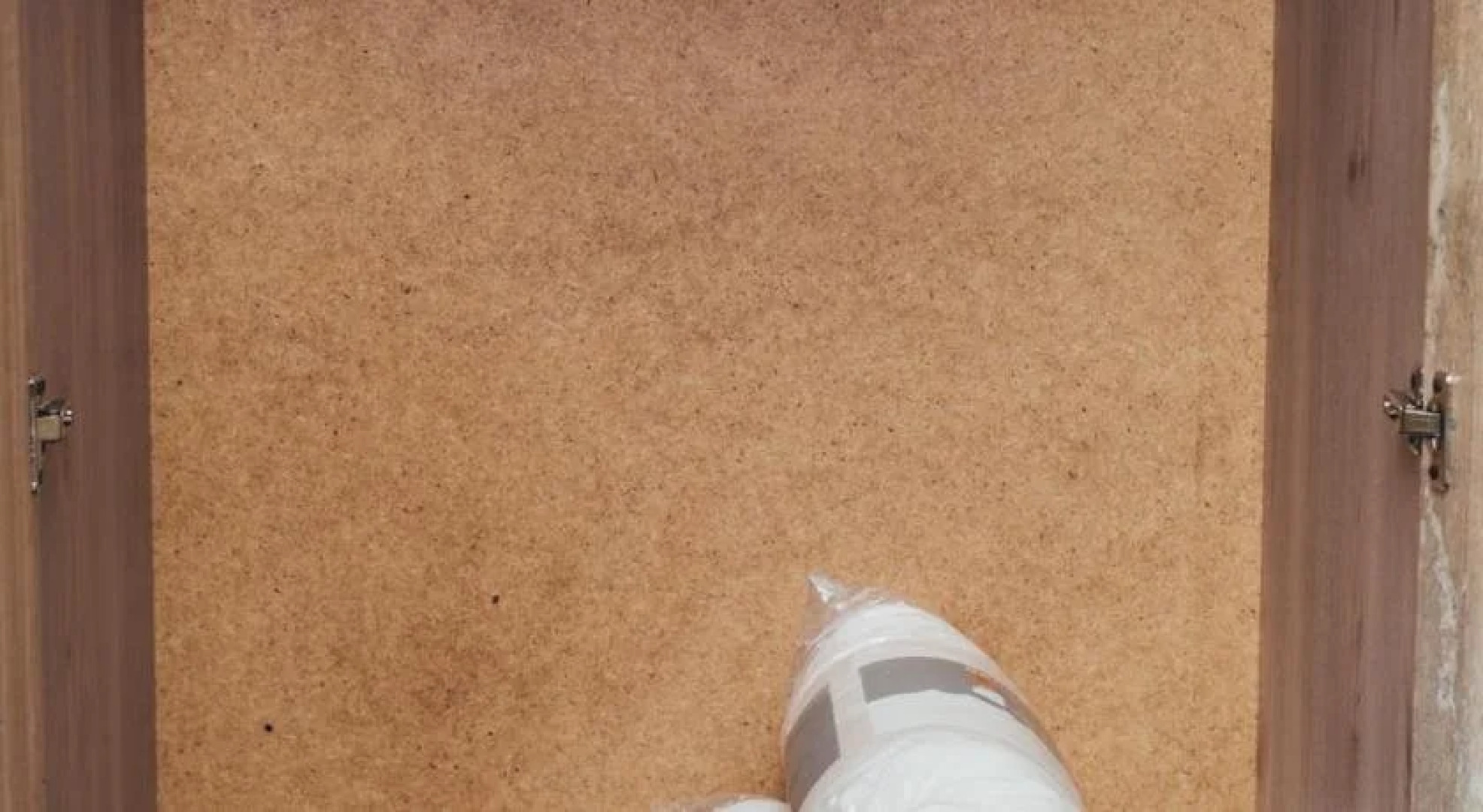 Carlson hotel and hostel