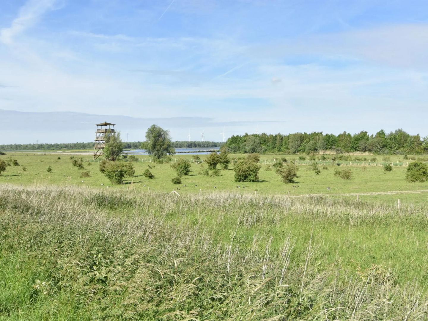 Modern holiday Home in South Holland by Lake Volkerak