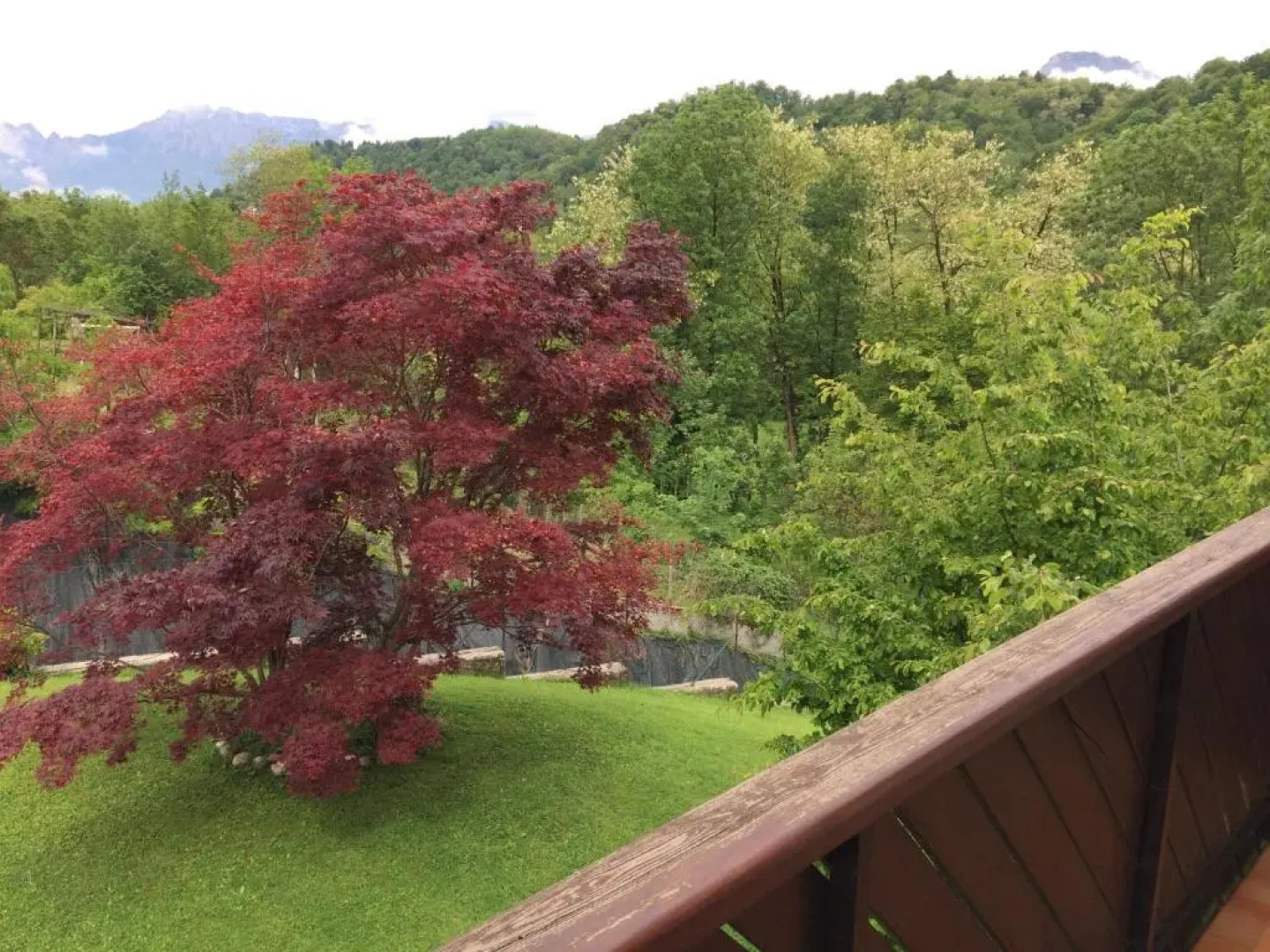 Bed & Breakfast La Pecora Nera