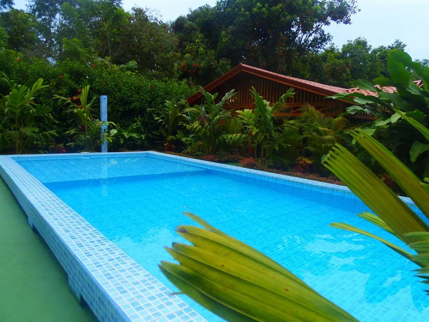 Hotel Heliconias Nature Inn & Hot Springs