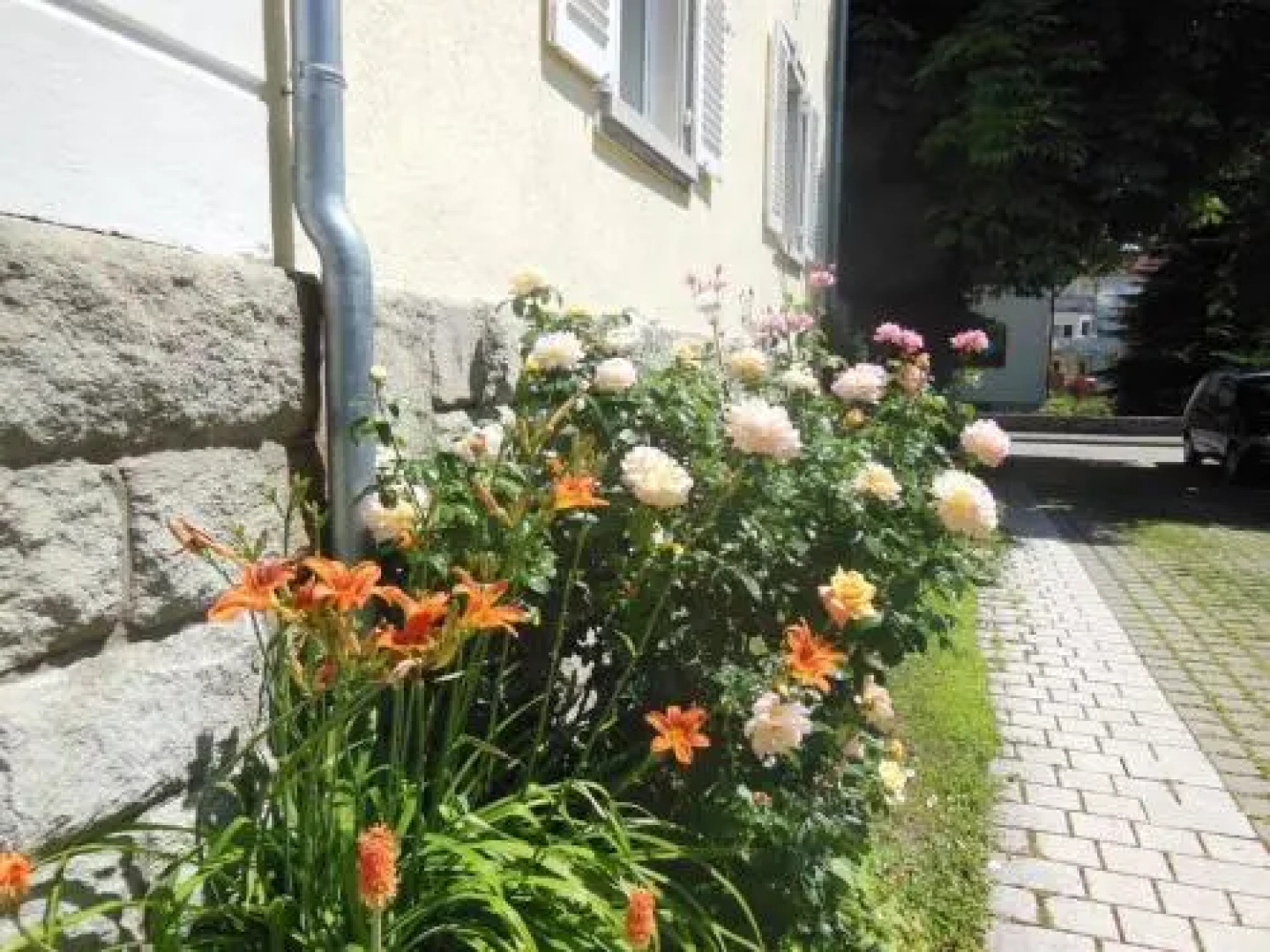 Ferienwohnung Lavendel
