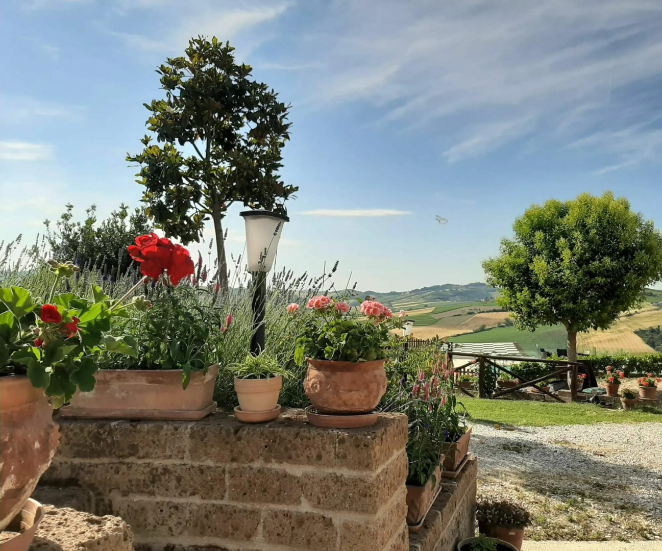 La Casa Di Campagna - La Casa Di Campagna