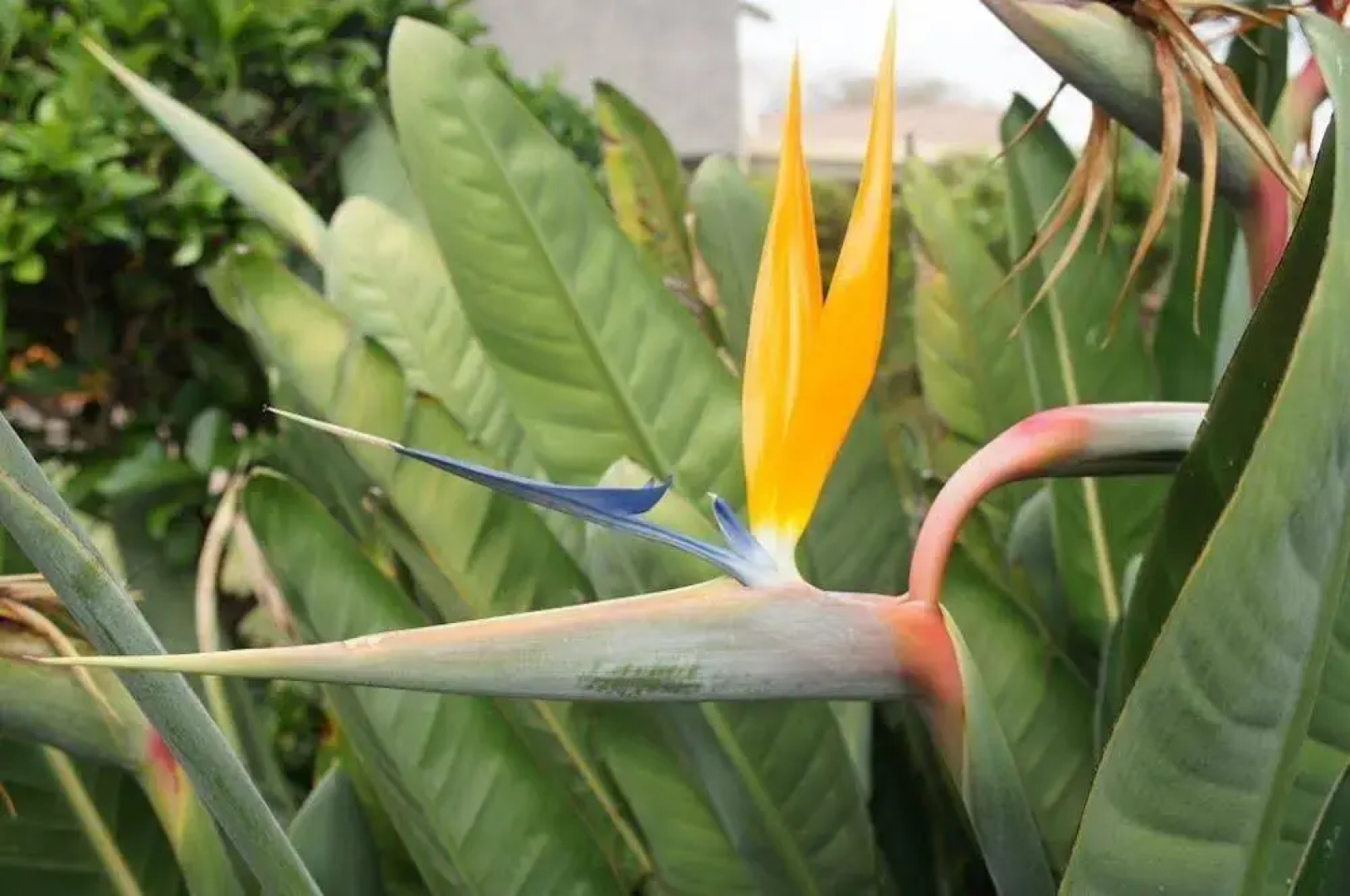 The Lapha Guesthouse and Conference Centre