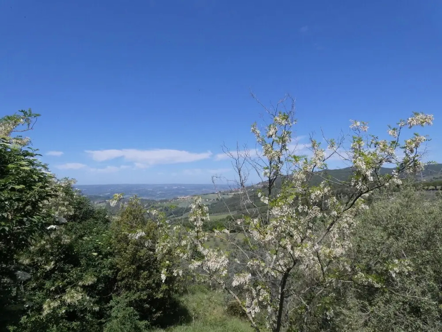 Scappo In Umbria, La Casa Di Giuliana