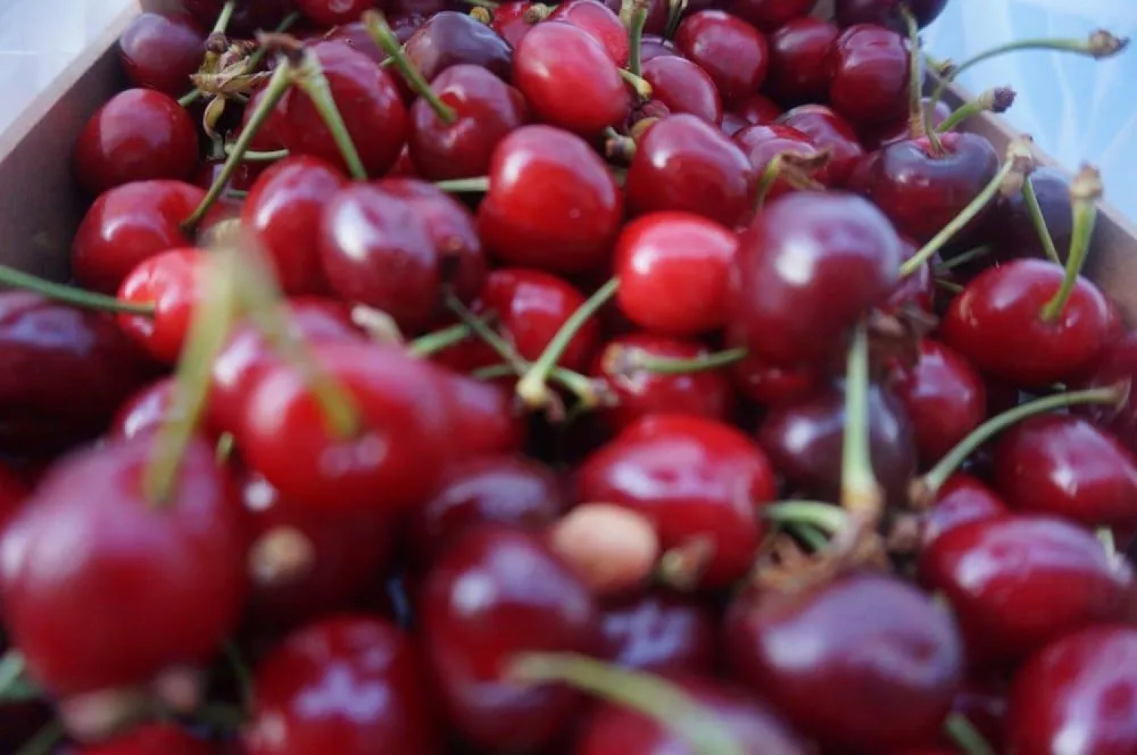 B&B Lu Grillu Holiday