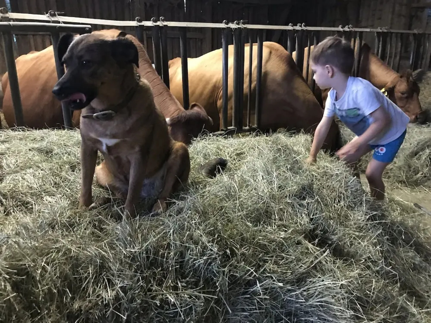 Ferienwohnung Rummelsmühle